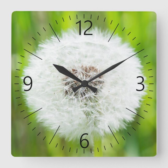 Dandelion Fyrkantig Klocka (Framsida)
