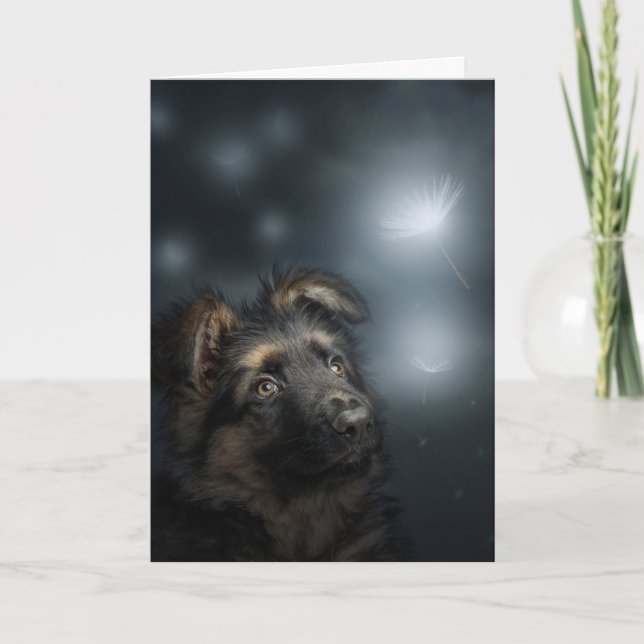 Dandelion German shepherd Folded Greeting Card Kort (Framsida)