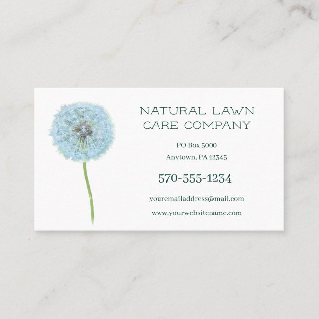 Dandelion Gräsmatta Care Landscaping Landscaper Visitkort (Framsida)