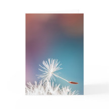Dandelion Greeting Card