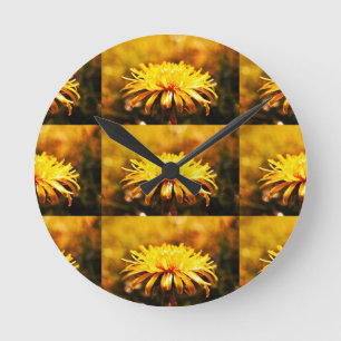 Dandelion Gult Blommars Flowers Vines Vår Rund Klocka
