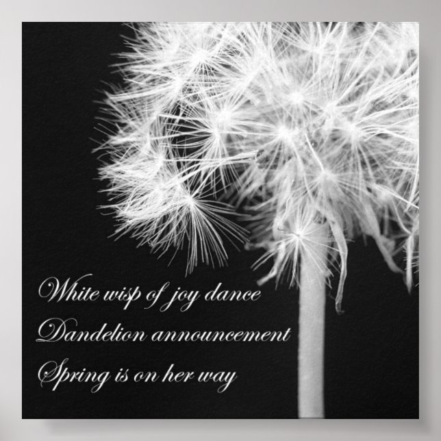 Dandelion Haiku Poster (Framsidan)