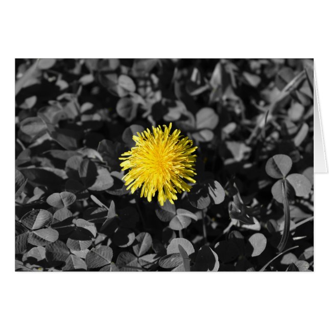 Dandelion Hälsningskort (Framsidan Horizontal)