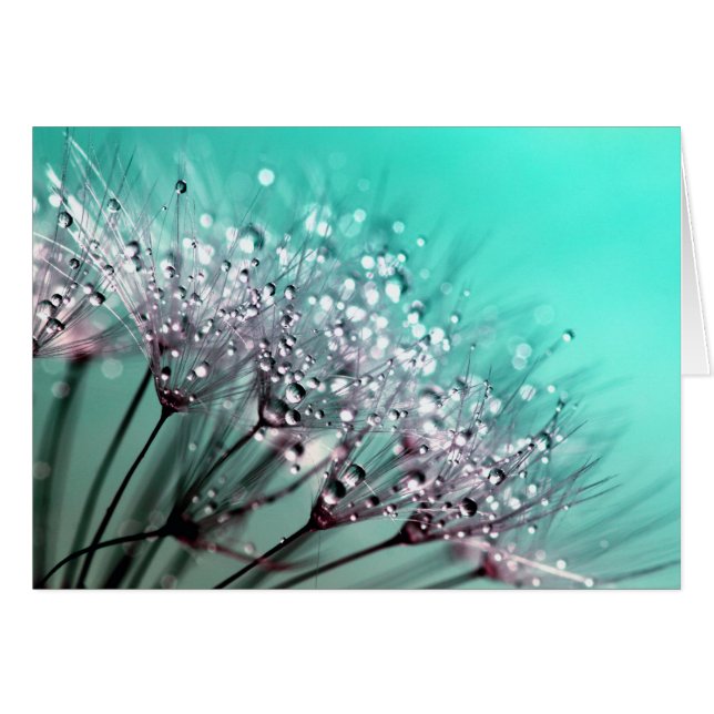 Dandelion Hälsningskort (Framsidan Horizontal)