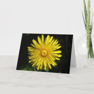 Dandelion-hälsningskort Kort