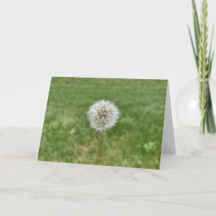 Dandelion-hälsningskort Kort