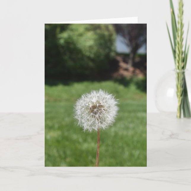 Dandelion-hälsningskort Kort (Framsida)