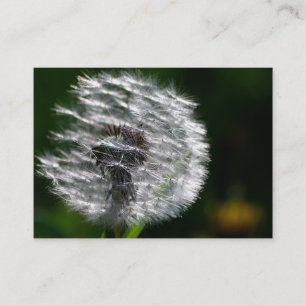 Dandelion Head Seed - Affärskort Visitkort
