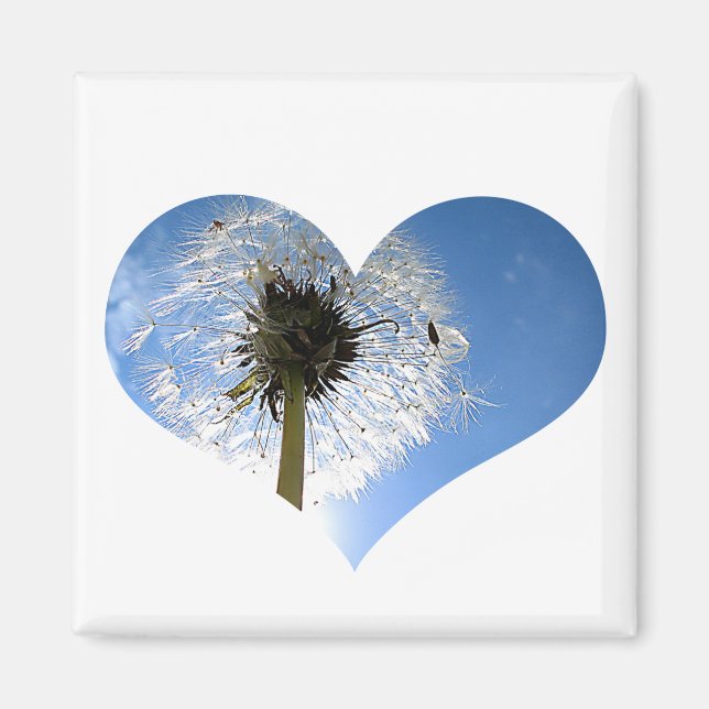 Dandelion Heart Magnet (Framsidan)