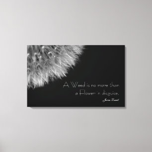 Dandelion i Black & White med citat Canvastryck