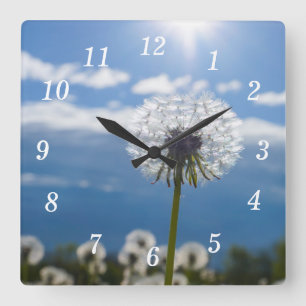 Dandelion i ljusväggsklocket fyrkantig klocka