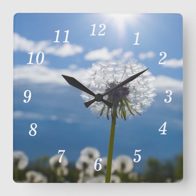 Dandelion i ljusväggsklocket fyrkantig klocka (Framsida)