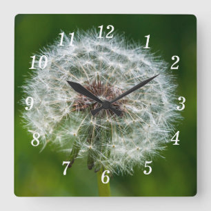 Dandelion i ljusväggsklocket fyrkantig klocka