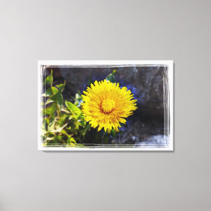 Dandelion i solljus canvastryck