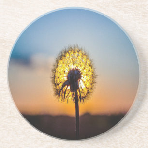 Dandelion i Sunrise Underlägg Sandsten