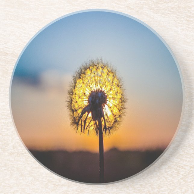 Dandelion i Sunrise Underlägg Sandsten (Framsidan)