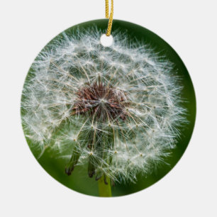 Dandelion in Light Julgransprydnad Keramik