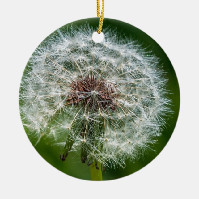 Dandelion in Light Julgransprydnad Keramik (Framsidan)