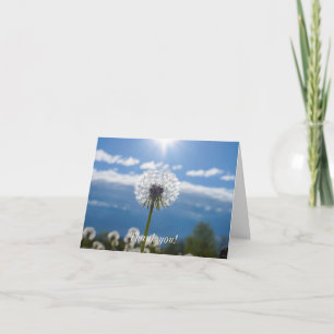 Dandelion in Light Tack Kort