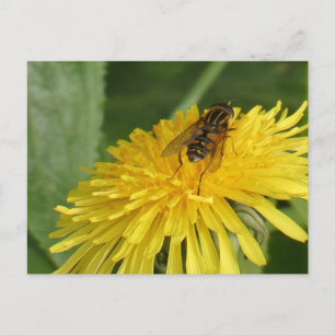 Dandelion & Insekt DIY-vykort Helg Vykort