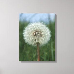Dandelion Kanvastryck