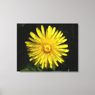 Dandelion Kanvastryck