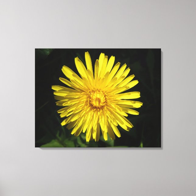 Dandelion Kanvastryck (Framsida)
