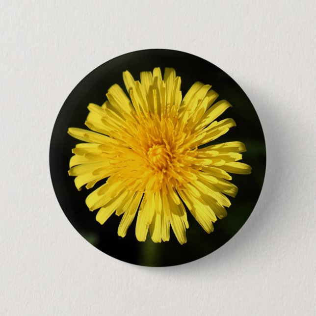 Dandelion Knapp (Framsida)