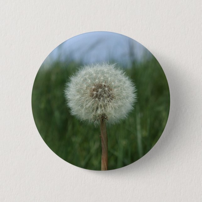 Dandelion-knapp Knapp (Framsida)