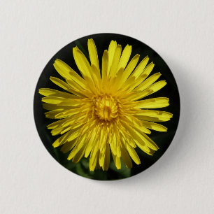 Dandelion-knapp Knapp