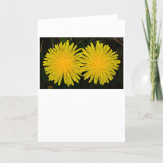 Dandelion, kort