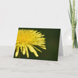 Dandelion, kort