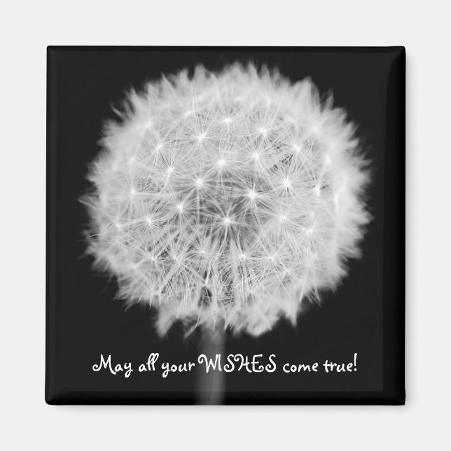 Dandelion-kylmagnet Magnet (Framsidan)