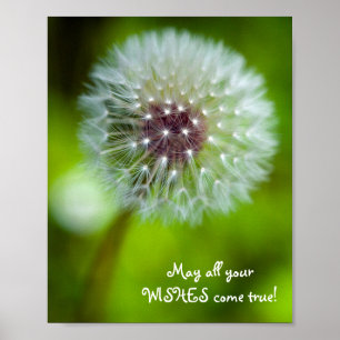Dandelion "Må all din önskemål kom vara sann!" Pos Poster