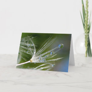 Dandelion med dryck kort