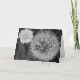Dandelion/Noir Kort