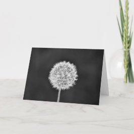 Dandelion - Noir, kort