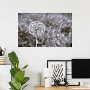 Dandelion-Noir Poster