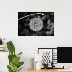 Dandelion-Noir Poster