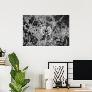 Dandelion-noir Poster