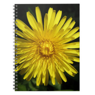 Dandelion Notebook Anteckningsbok Med Spiral