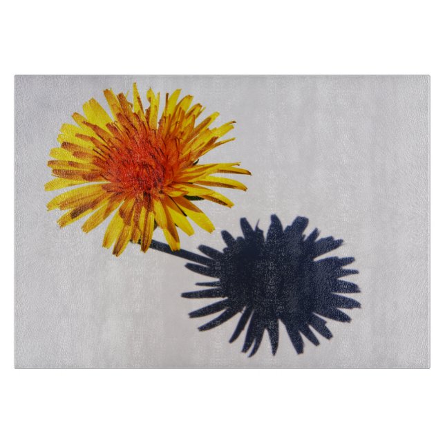 Dandelion och Shadow cbcnm (Framsidan)