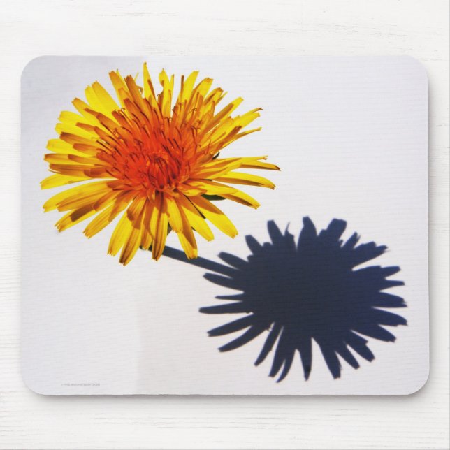 Dandelion och Shadow mpcna Musmatta (Framsidan)