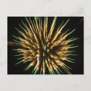 Dandelion on Fire Vykort
