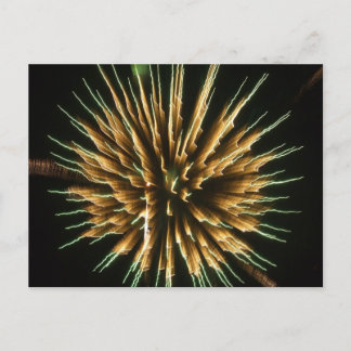 Dandelion on Fire Vykort