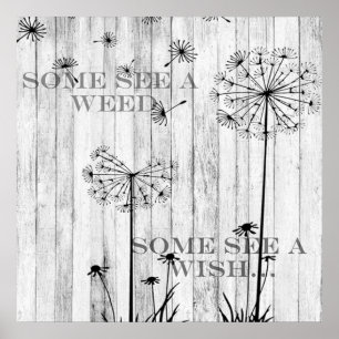 Dandelion Önskemål 24-tums x 24-tums Poster