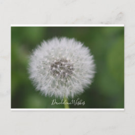 Dandelion önskemål vykort