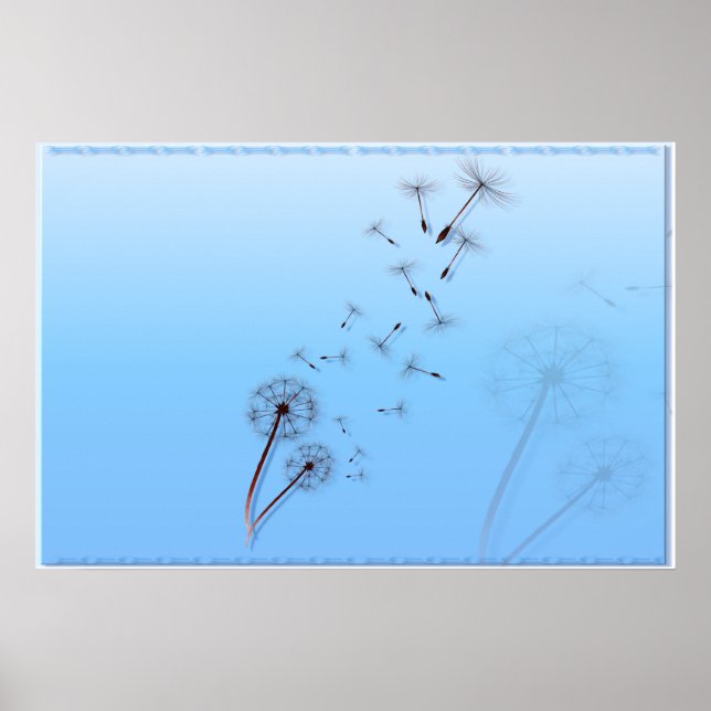 Dandelion på Baby blue Poster (Framsidan)