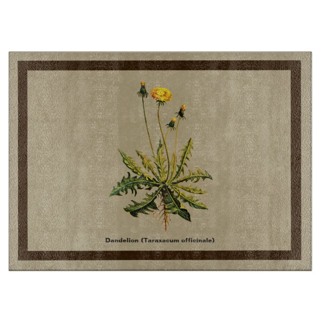 Dandelion på gammal Papper (Framsidan)