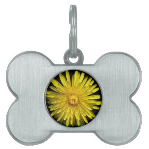 Dandelion Pet Tag Namnbricka Husdjur